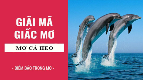 Mơ thấy cá heo được coi là giấc mơ chứa cặp số “chăn nuôi” lô đề hiệu quả nhất. Ngoài ra còn là điềm báo lớn lao cho tương lai sắp tới của bạn trong công cuộc chinh phục các nhà cái lô đề. Giấc mơ thấy một sinh vật dễ thương như thế này có khi lại may mắn lắm đấy. Một giấc mơ về cá heo có là điềm lành hay điềm tốt thì phải tùy từng hoàn cảnh trong giấc mơ gặp thấy cá heo như thế nào. Hãy đến PQ88 xổ số trực tuyến để biết thêm thông tin nhé .