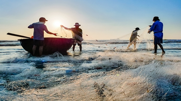 Kéo lưới bắt cá là hoạt động thường ngày của các ngư dân nhưng bạn đã bao giờ mơ thấy kéo lưới bắt cá dù mình chưa từng làm việc này trước đây chưa .Hình tượng loài cá mang nhiều ý nghĩa biểu trưng cả trong văn hóa phương Đông lẫn phương Tây. Nó gắn liền với sự đủ đầy và hạnh phúc. Cá cũng là nguồn thực phẩm dồi dào cung cấp nhiều dưỡng chất cho sức khỏe con người. Hãy đến PQ88 xổ số trực tuyến để biết thêm thông tin nhé .