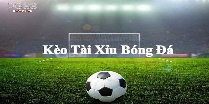 Phân tích lợi ích đạt được khi chơi kèo cược tài xỉu